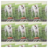 Tissu Boxer (Échantillon)
