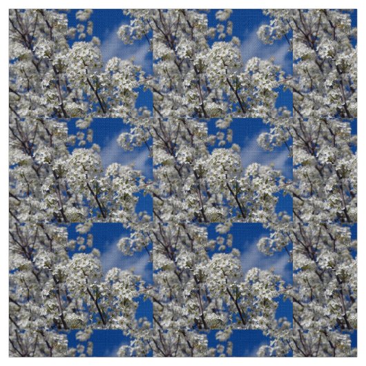 Tissu Bradford Pear Blooms (Échantillon)