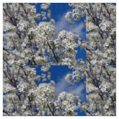 Tissu Bradford Pear Blooms (Fermer)