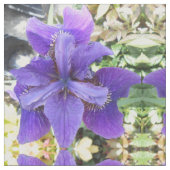 Tissu Brandeis (Fermer)