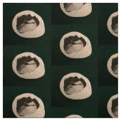 Tissu Brrr Chickadee (Échantillon)