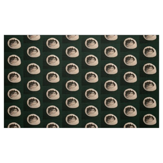 Tissu Brrr Chickadee (Fat Quarter)