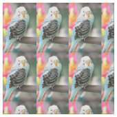 Tissu Budgie (Échantillon)