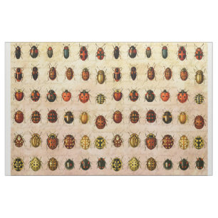 Tissu Bug d'insectes coccinelle de coccinelle