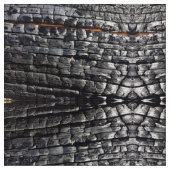 Tissu caché du feu (Fermer)