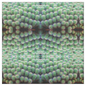 Tissu cactus à baril vert (Échantillon)