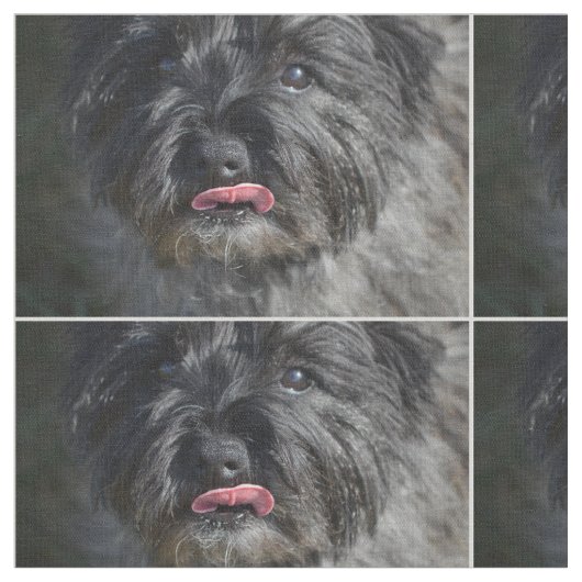 Tissu Cairn Terrier adorable (Fermer)