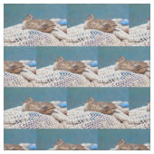 Tissu Canard de repos (Échantillon)