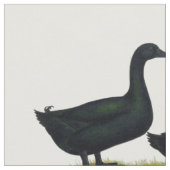 Tissu Canards : Cayugas noirs (Fermer)