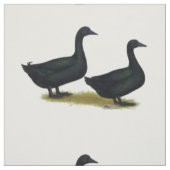 Tissu Canards : Cayugas noirs (Échantillon)