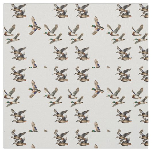 Tissu Canards colverts (Échantillon)