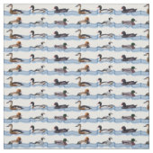 Tissu Canards Dandy (Échantillon)