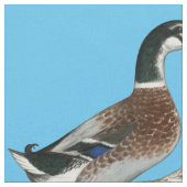 Tissu Canards : Joyeuse Argent (Fermer)