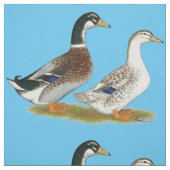Tissu Canards : Joyeuse Argent (Échantillon)