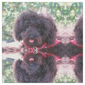 Tissu Caniche miniature noir (Fermer)