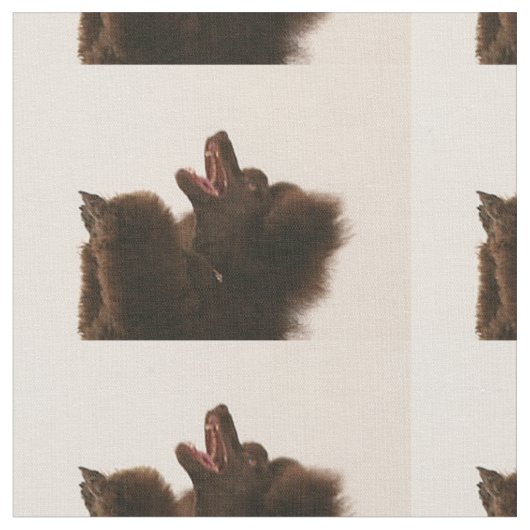 Tissu caniche noir dancing.png (Fermer)