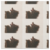 Tissu caniche noir dancing.png (Échantillon)