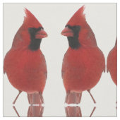 Tissu cardinal (Fermer)