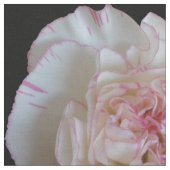 Tissu Carnation (Fermer)