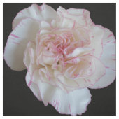 Tissu Carnation (Échantillon)