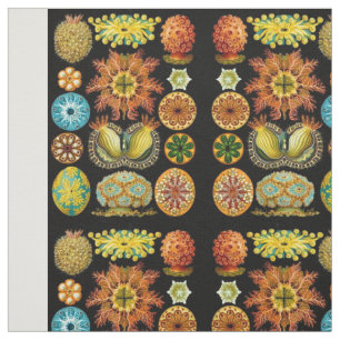 Tissu carte des créatures marines