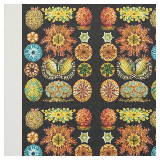 Tissu carte des créatures marines (Échantillon)