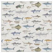 Tissu Cartes d'identification des requins étiquetées (Fermer)