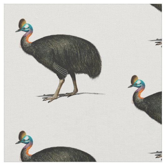 Tissu cassowary (Fermer)
