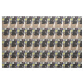 Tissu Cat (Fat Quarter)