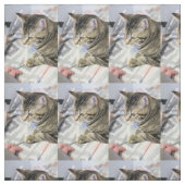 Tissu Cat (Échantillon)