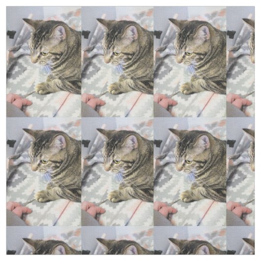 Tissu Cat (Échantillon)