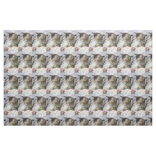 Tissu Cat (Fat Quarter)