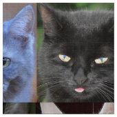 Tissu Cat Façade Collage Couture Fabric de l'artisanat (Fermer)