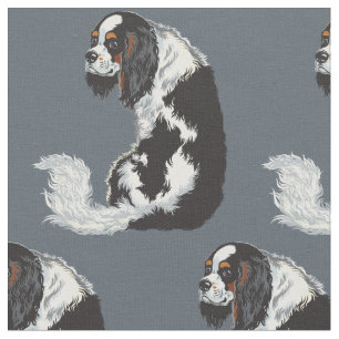 Tissu cavalier roi spaniel