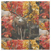 Tissu Cerf à queue blanche en automne (Fermer)