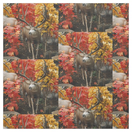 Tissu Cerf à queue blanche en automne (Échantillon)