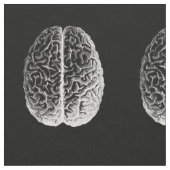 Tissu Cerveaux ! (Fermer)