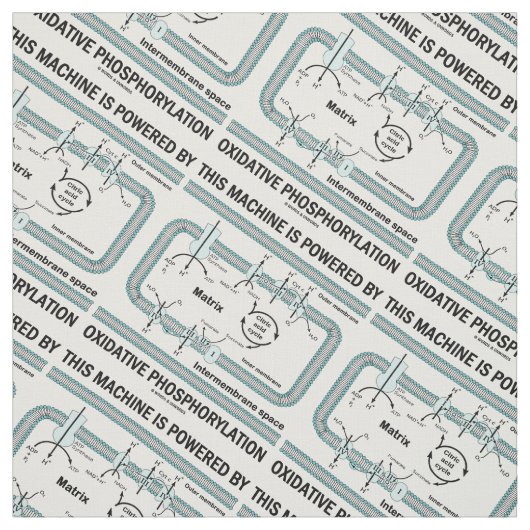 Tissu Cette Machine Alimentée Par La Phosphorylation Oxi (Échantillon)
