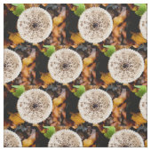 Tissu Champagne (Échantillon)