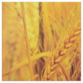 Tissu Champs de blé (Détail)