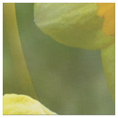 Tissu Champs de jonquilles.... (Fermer)