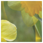 Tissu Champs de jonquilles.... (Échantillon)