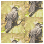 Tissu Chanter Grey Catbird Fabric (Fermer)