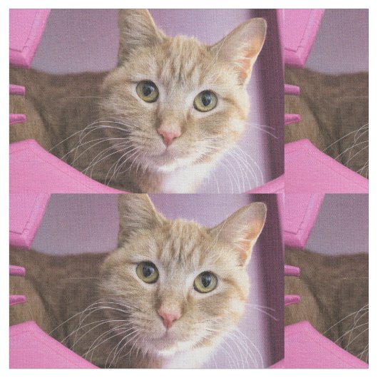 Tissu Chat (Fermer)