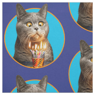 Tissu Chat avec verre d'anniversaire