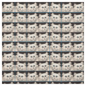 Tissu chat blanc aux yeux bleus (Échantillon)