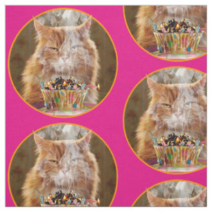 Tissu Chat Cranky Drôle Avec Cupcake D'Anniversaire Fon