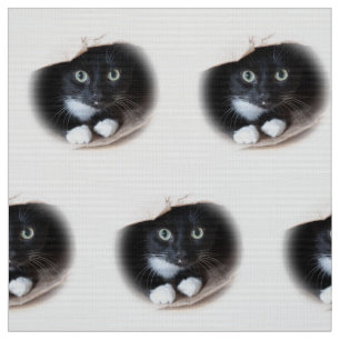 Tissu Chat dans un sac