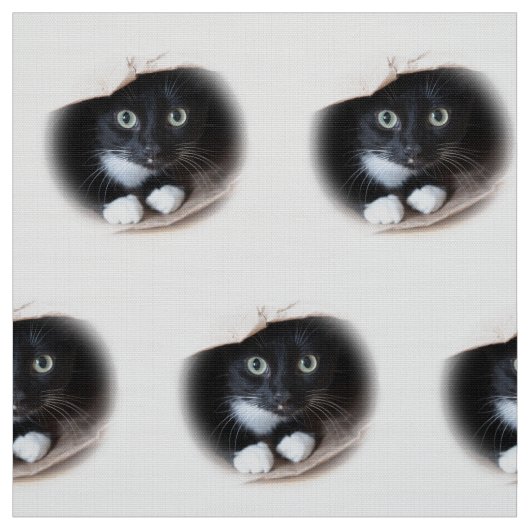 Tissu Chat dans un sac (Échantillon)
