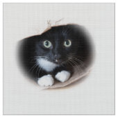 Tissu Chat dans un sac (Fermer)